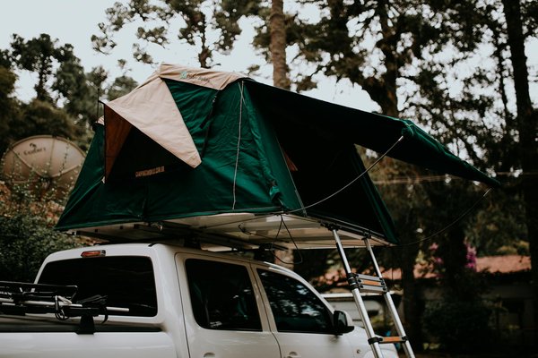 Hébergements de Glamping Haut de Gamme : Paradis pour Vous et Vos Animaux de Compagnie